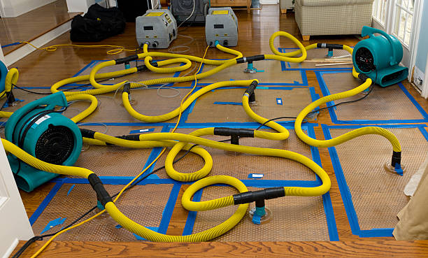 Professional Structural Drying And Dehumidification technician working in Linn Creek, MO